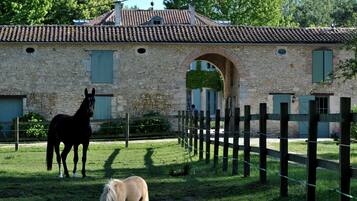 A stable with two horses, a stone building with a tiled roof, and a wooden fence.