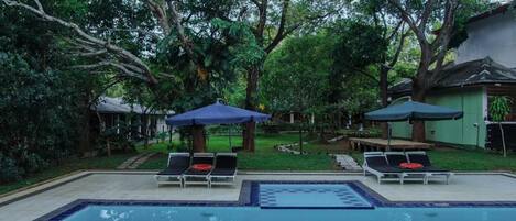 Outdoor pool, pool loungers