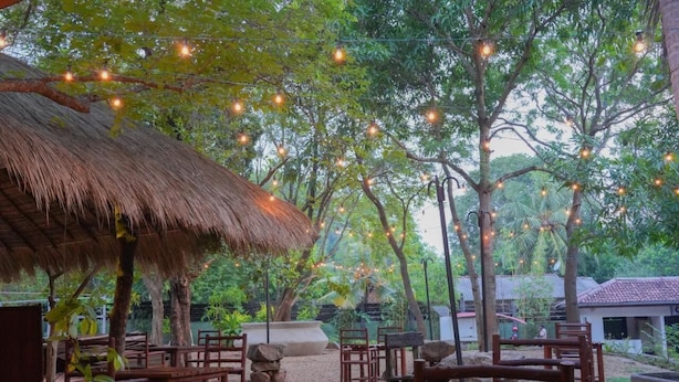 Een terras met overdekte constructies met rieten daken en houten meubels, omgeven door bomen en lichtjes.
