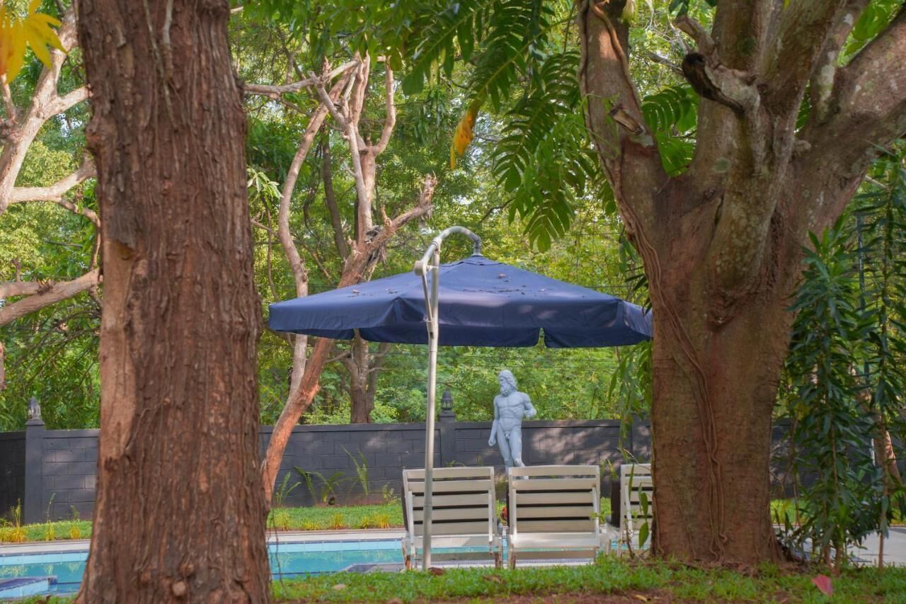 Una estatua bajo un paraguas azul, un banco y una piscina en un parque.