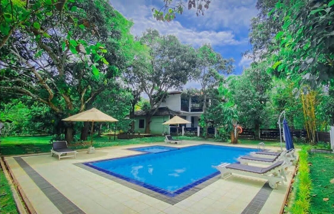 Outdoor pool, pool loungers