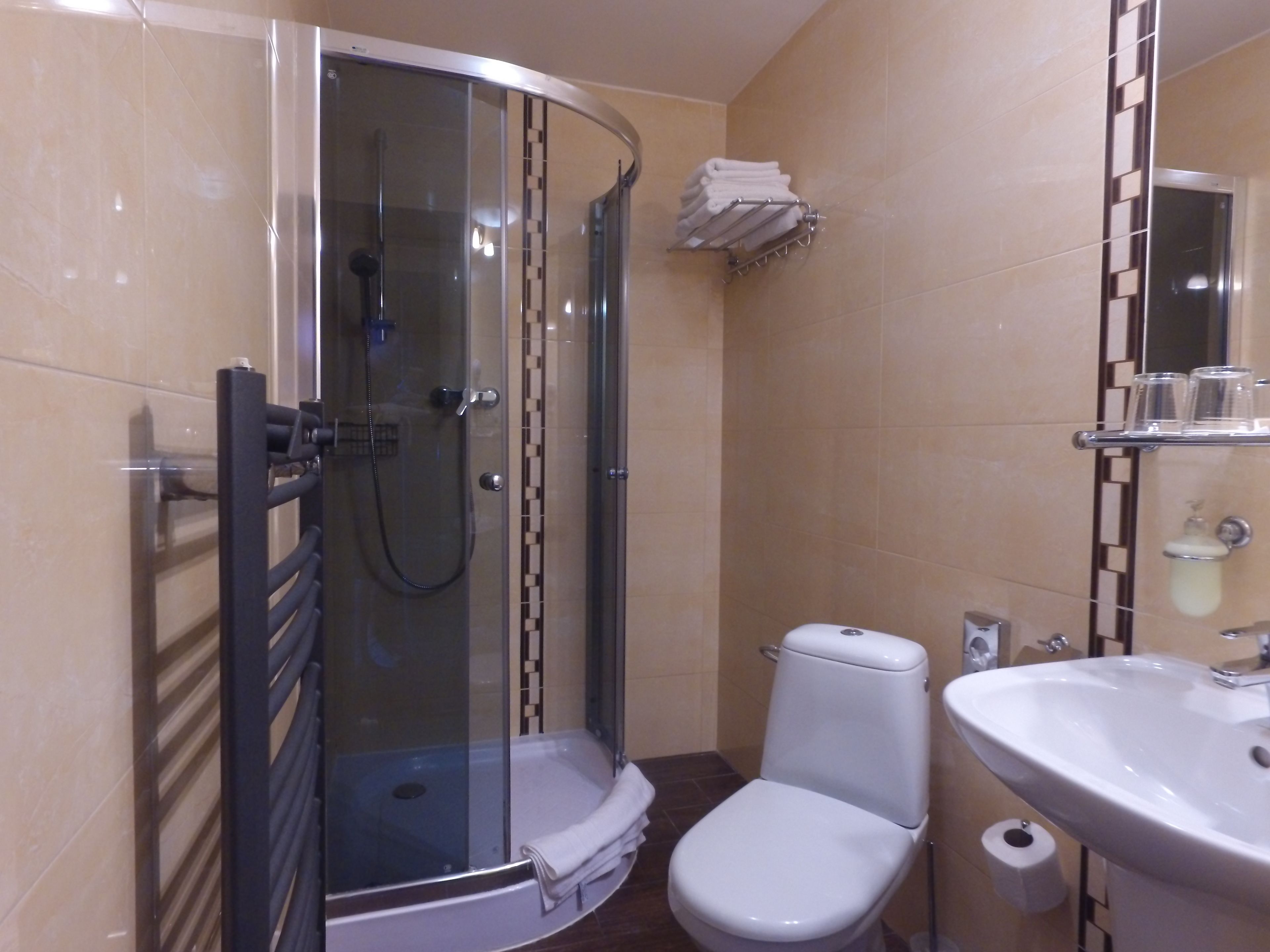 A modern bathroom with a glass-enclosed shower, a white toilet, and a sink with a mirror above it.