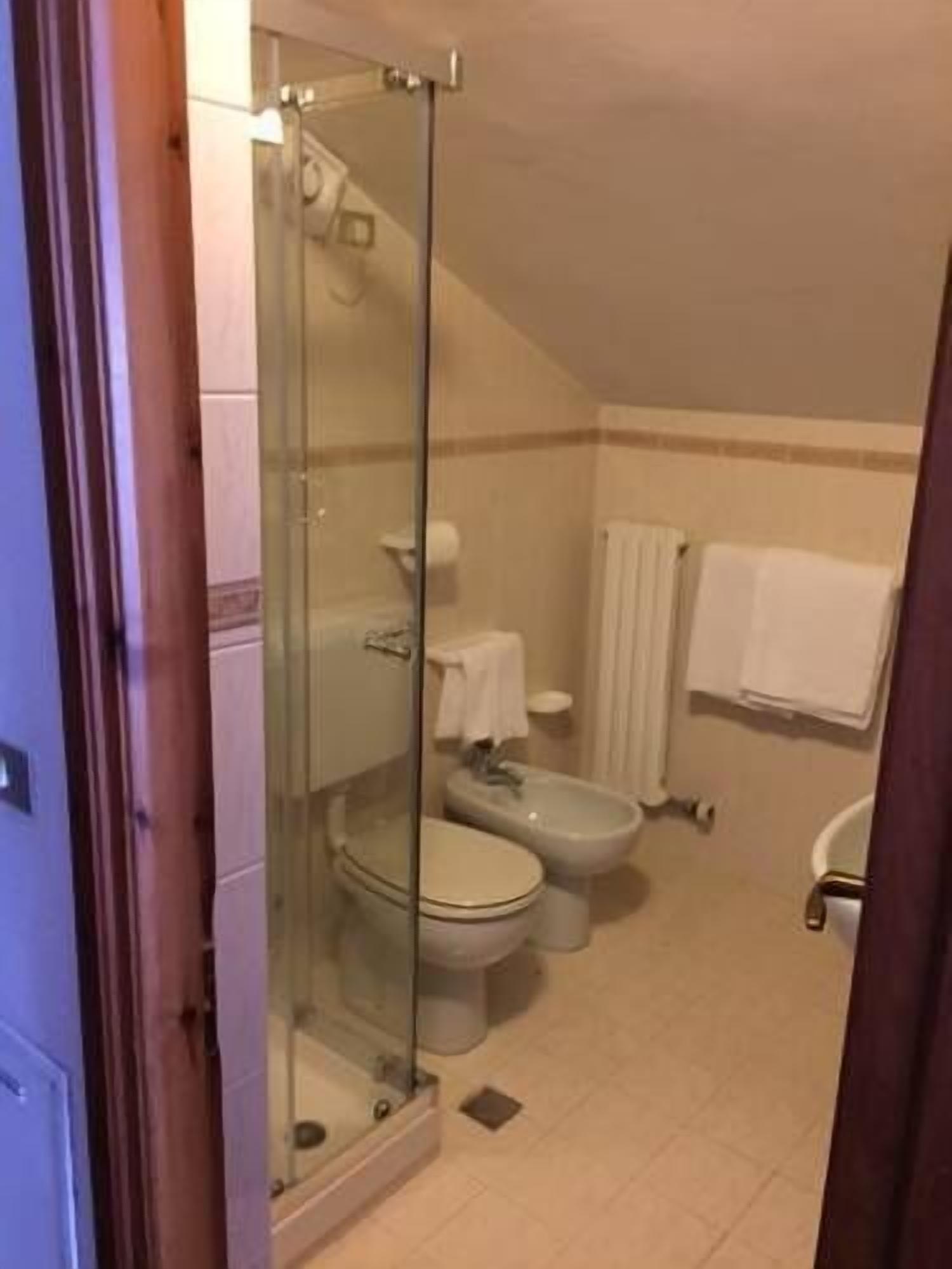 shower, free toiletries, hair dryer, bidet