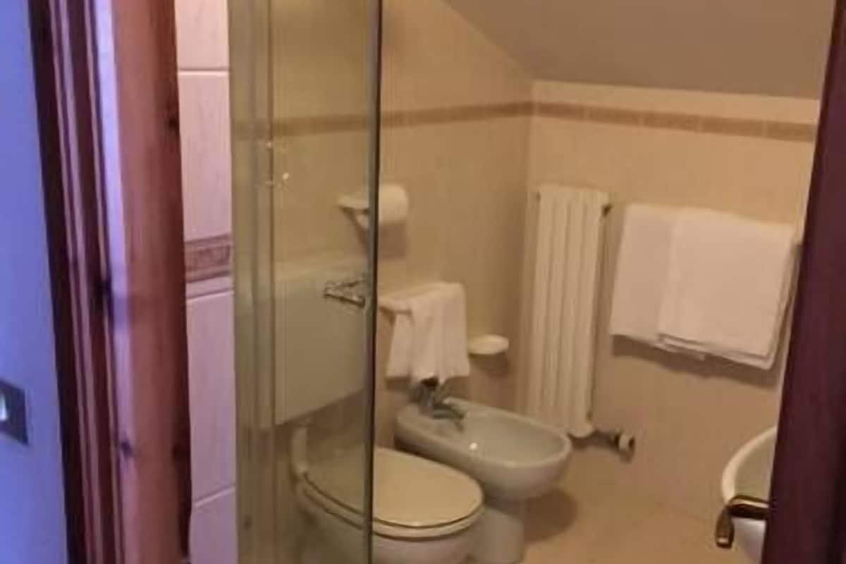 shower, free toiletries, hair dryer, bidet