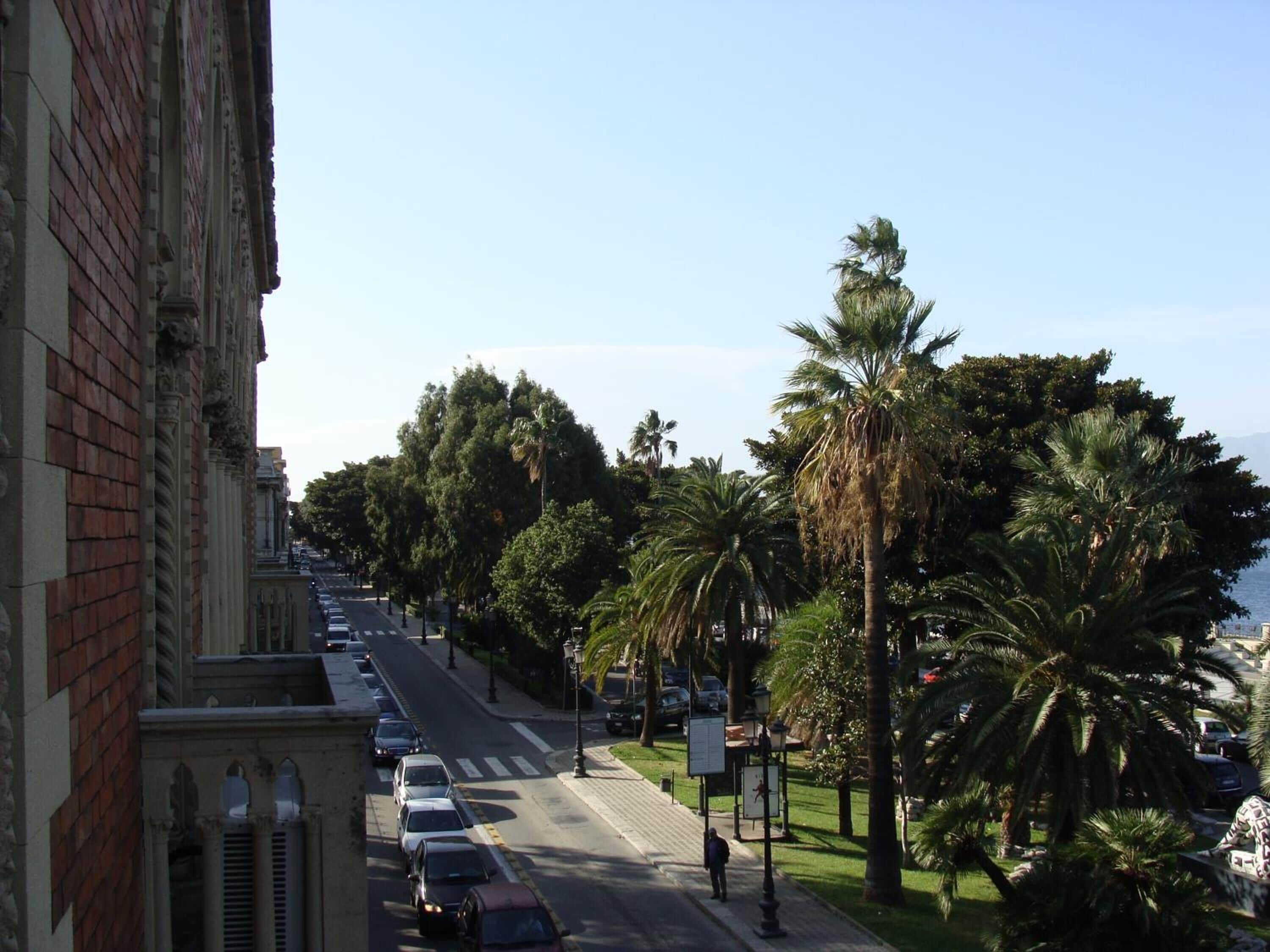 A street lined with palm trees and parked cars, with a building featuring classical architecture on the left.