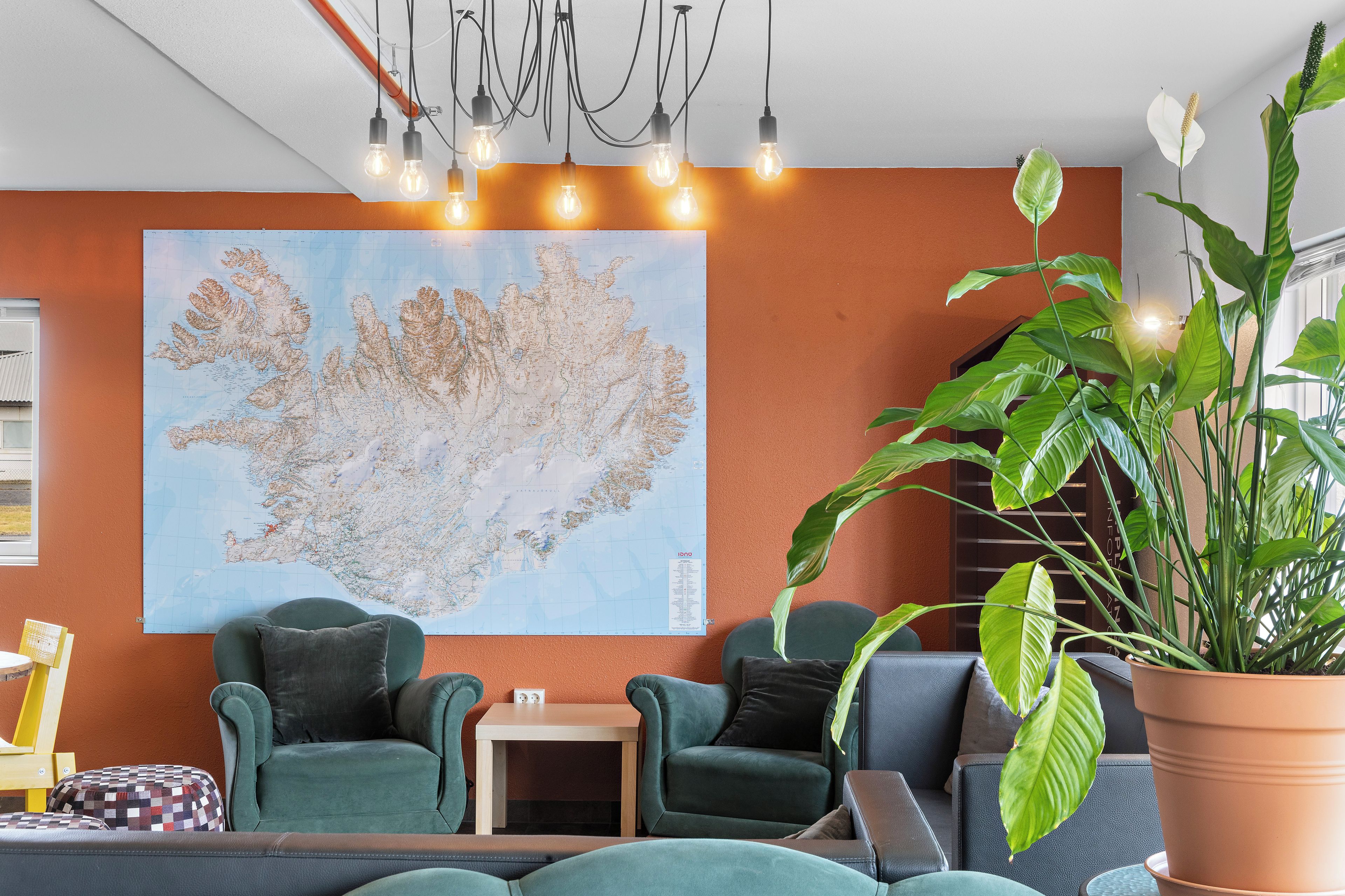 A modern living room with a large map on the wall, comfortable seating, and a large green plant.