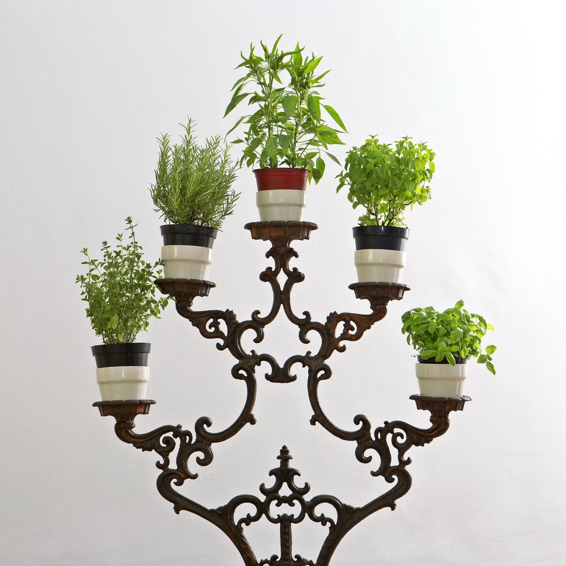 Un soporte metálico decorativo con múltiples macetas que contienen diversas plantas verdes.