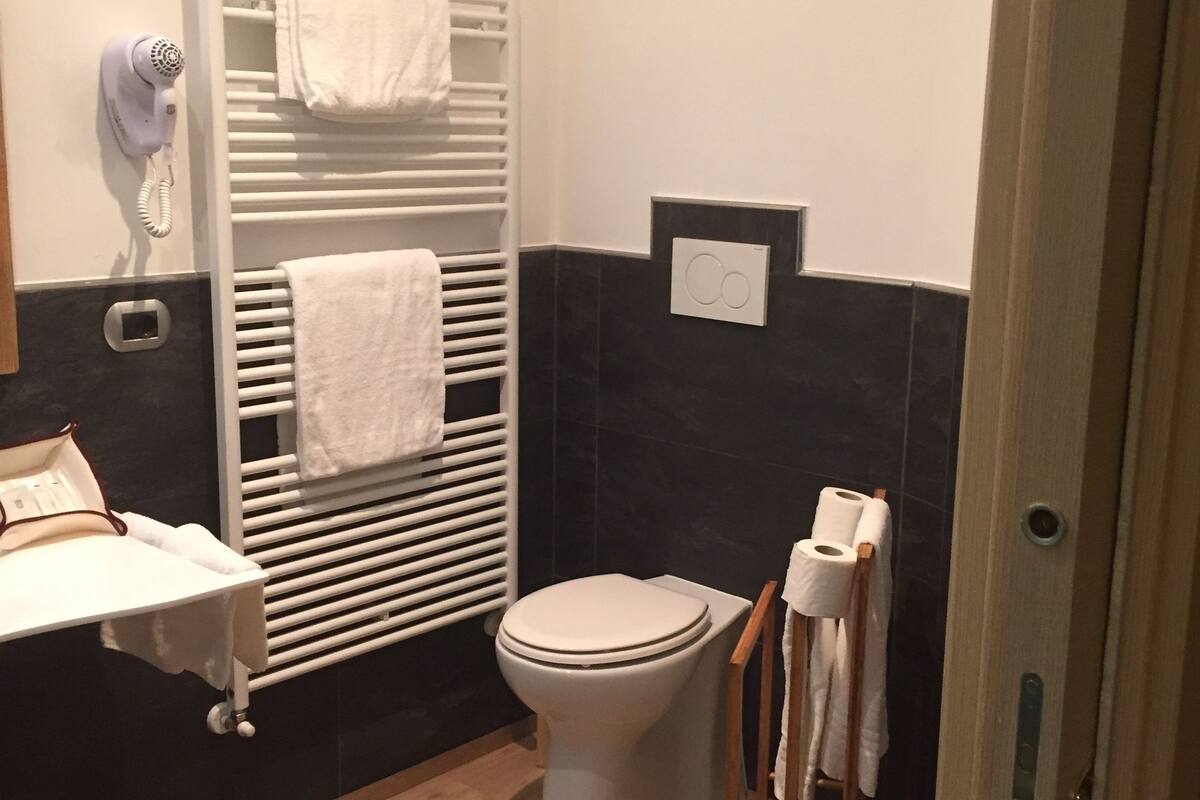 free toiletries, hair dryer, towels