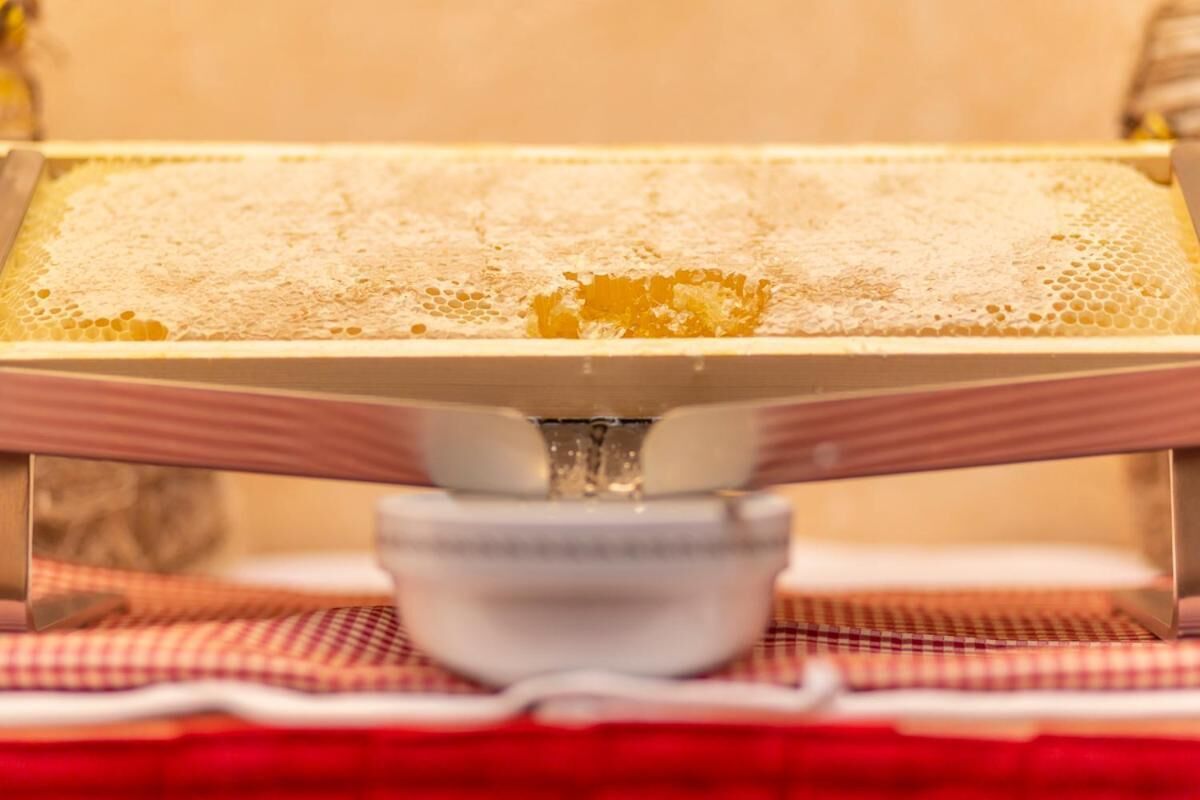 A honeycomb-like structure on a tray, possibly for culinary use, placed on a table with a checkered cloth.