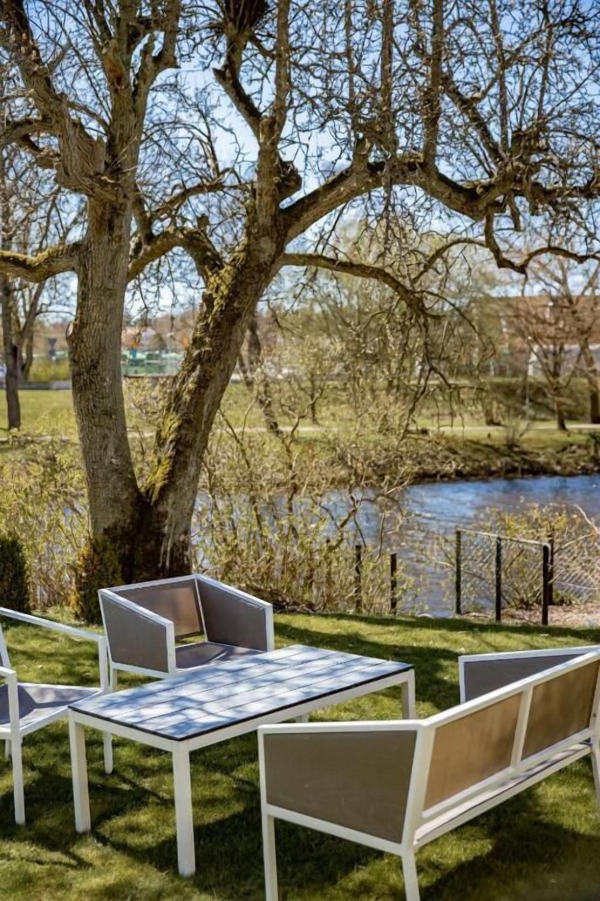 An outdoor seating area with tables and chairs under a large tree, overlooking a body of water.