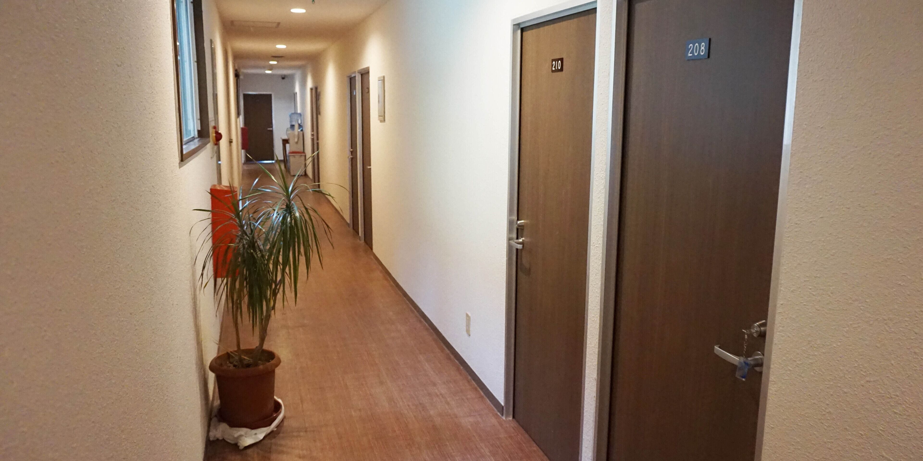 A hotel hallway with a potted plant, doors numbered 210 and 208, and a water dispenser.