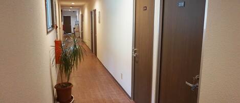 A hotel hallway with a potted plant, doors numbered 210 and 208, and a water dispenser.