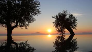 A serene sunset over a calm lake with trees silhouetted against the sky.