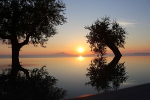 Seasonal outdoor pool, open 9 AM to 7 PM, pool umbrellas, pool loungers