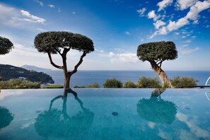 An infinity pool with a clear view of the sea and two trees. - Villa Fiorella Art Hotel (Massa Lubrense)