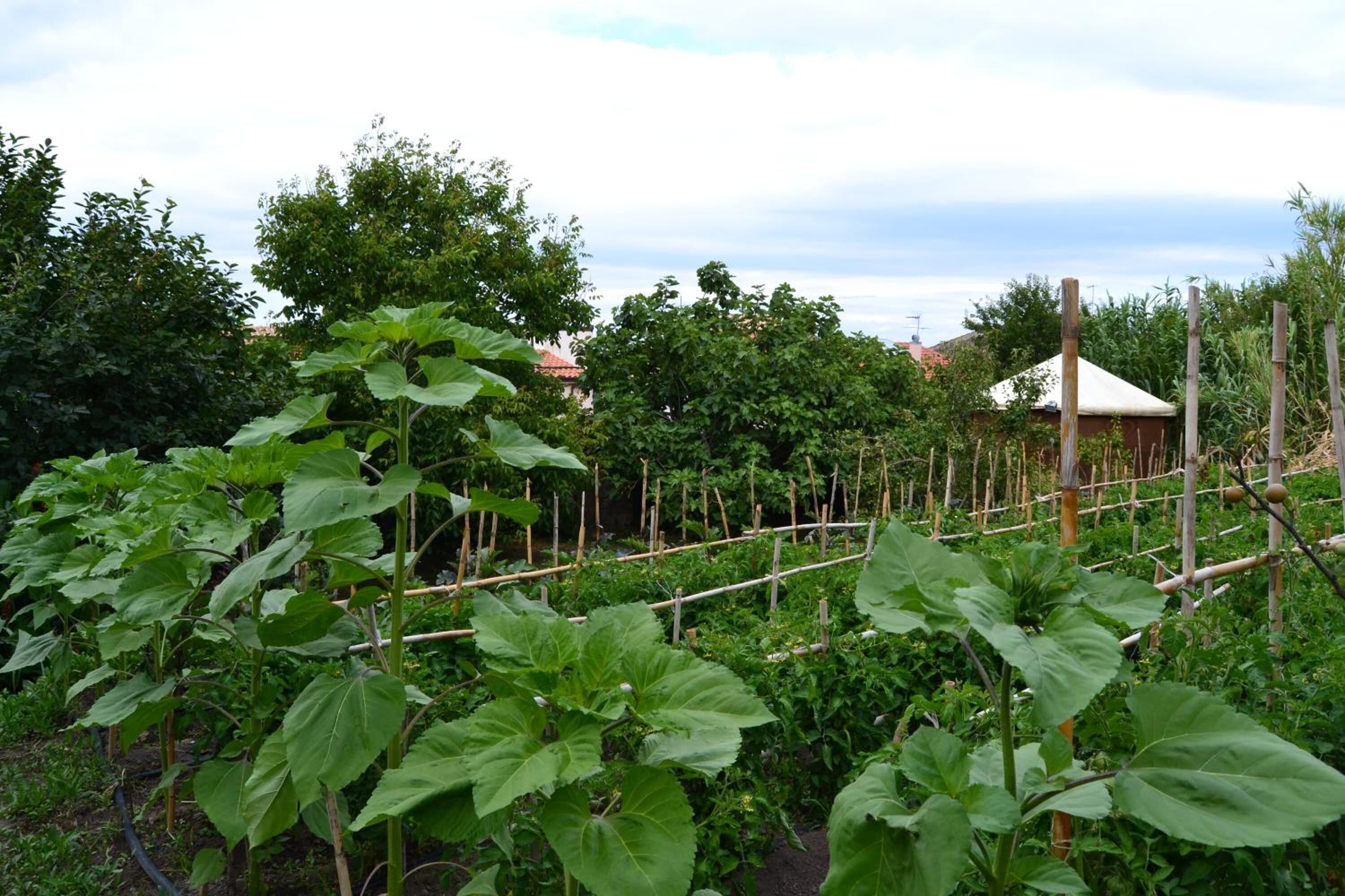 Foto - Su Cantaru Guesthouse