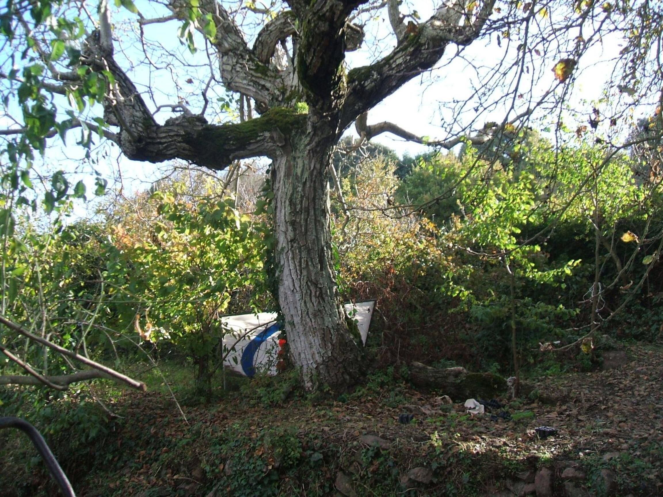 Foto - Su Cantaru Guesthouse