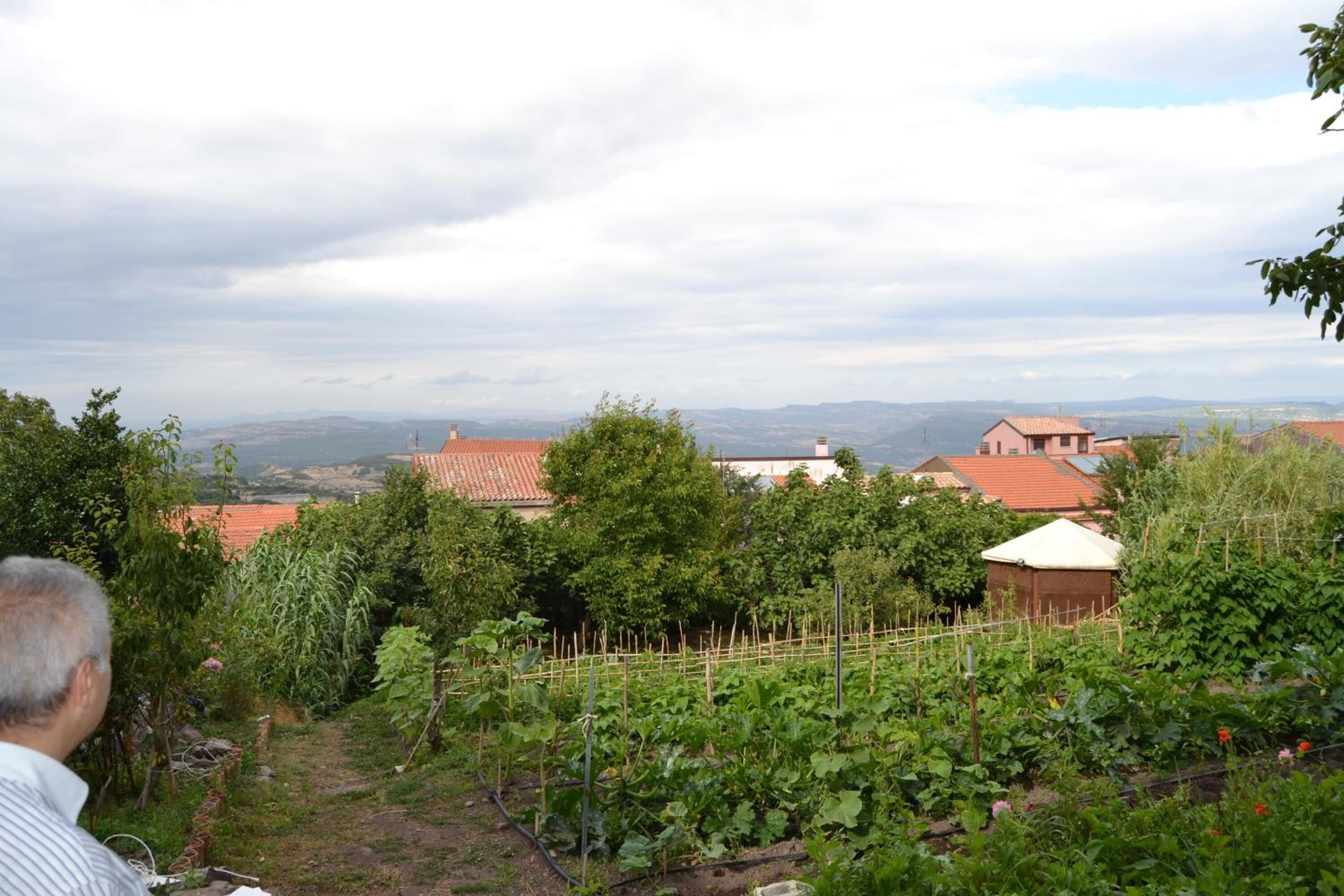 Foto - Su Cantaru Guesthouse