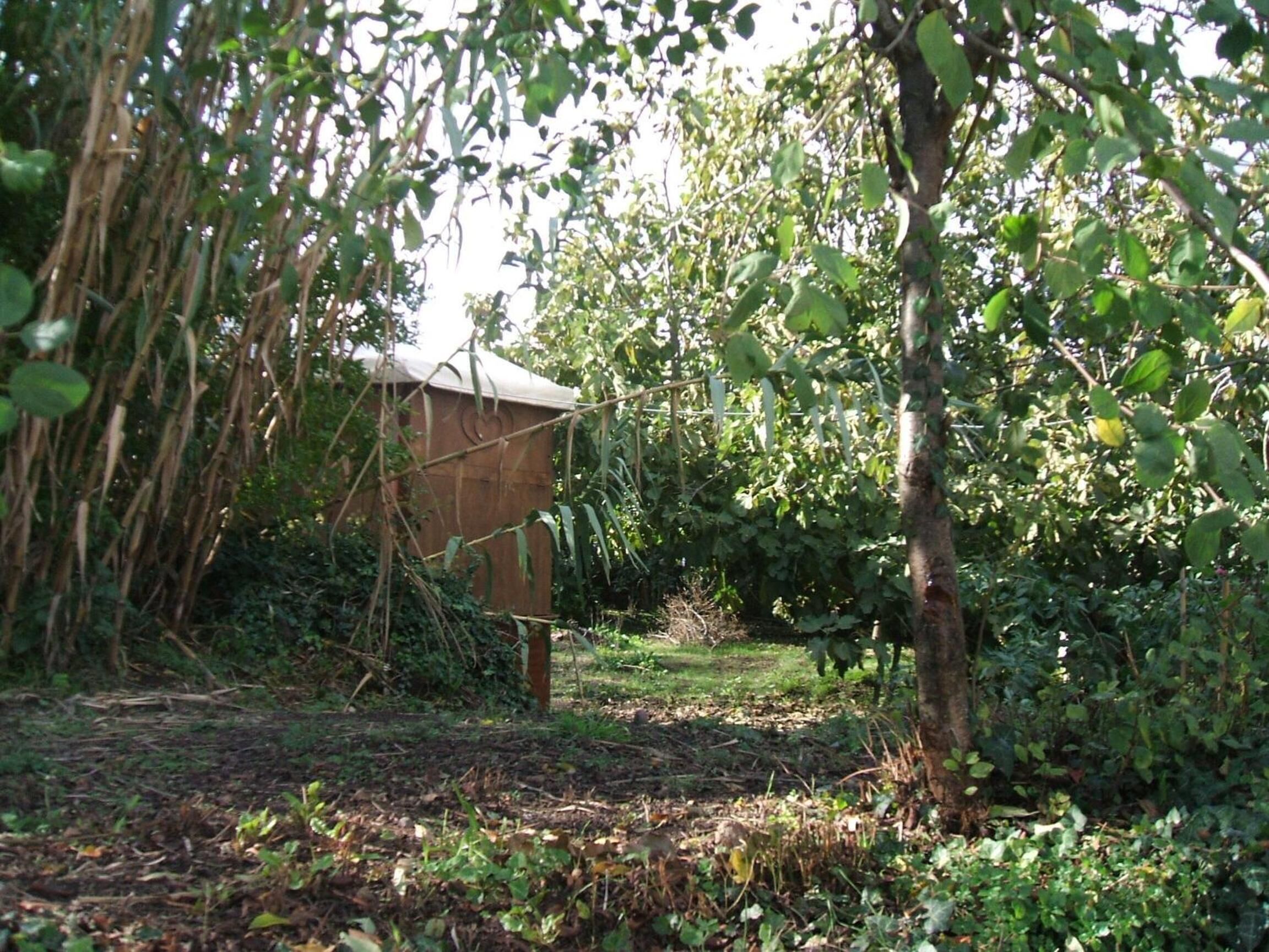 Een rustieke houten constructie in een weelderige tuin met een overvloed aan begroeiing en een heldere lucht.