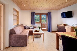 Bloc d'apartaments panoràmic, 1 llit de matrimoni gran, terrassa, vistes a la vall | Sala d'estar | Televisor de pantalla plana de 50 cm amb canals per satèl·lit 