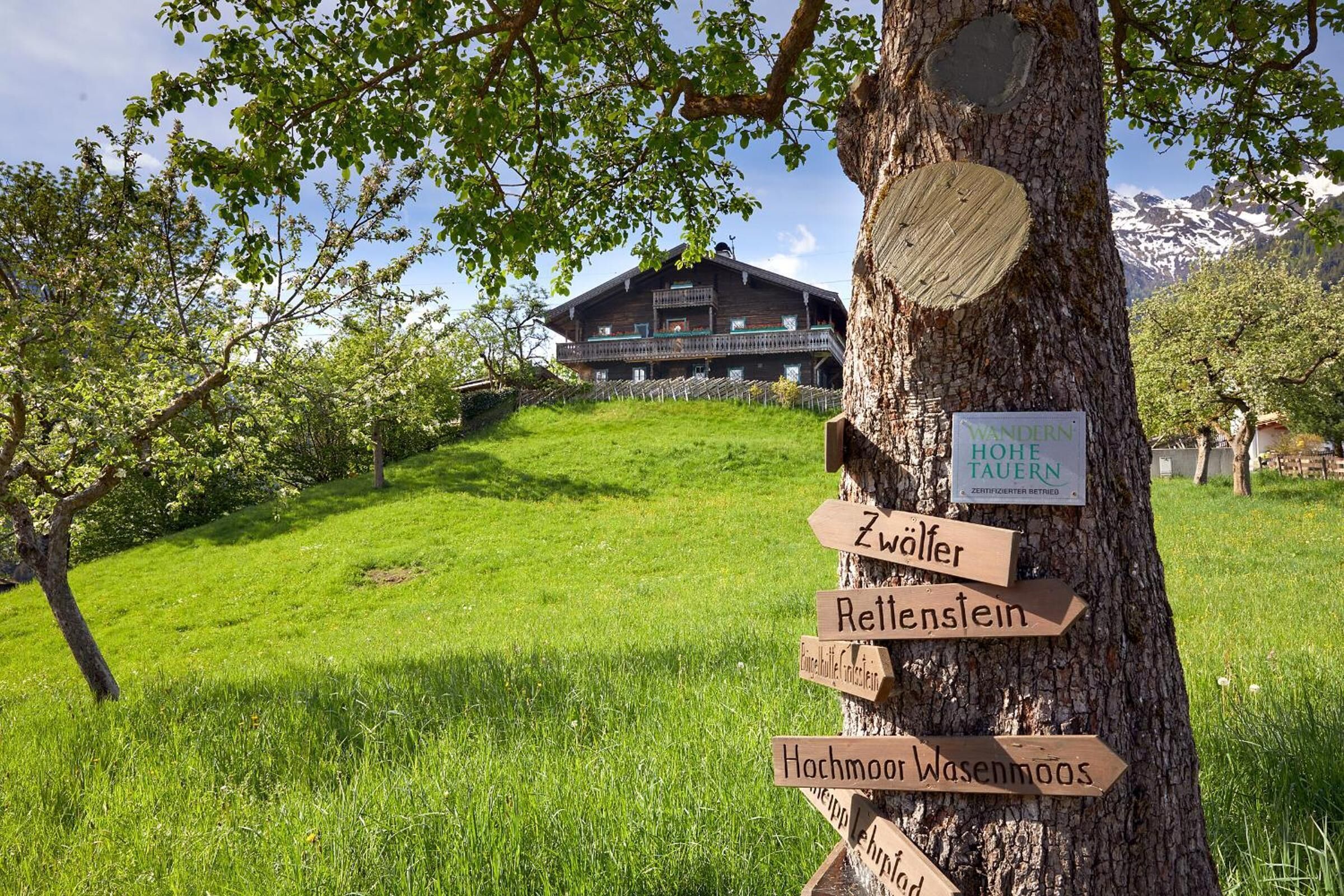 Ulkoalueet