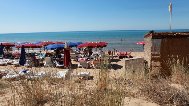 Une plage bordée de rangées de chaises longues et de parasols, une structure en bois et un mât.
