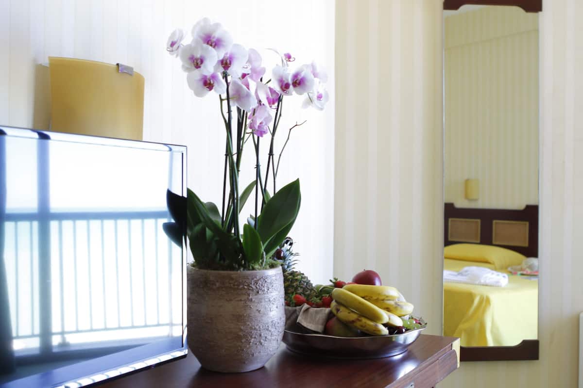 Équipements de la chambre