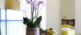 Club Esse Mediterraneo