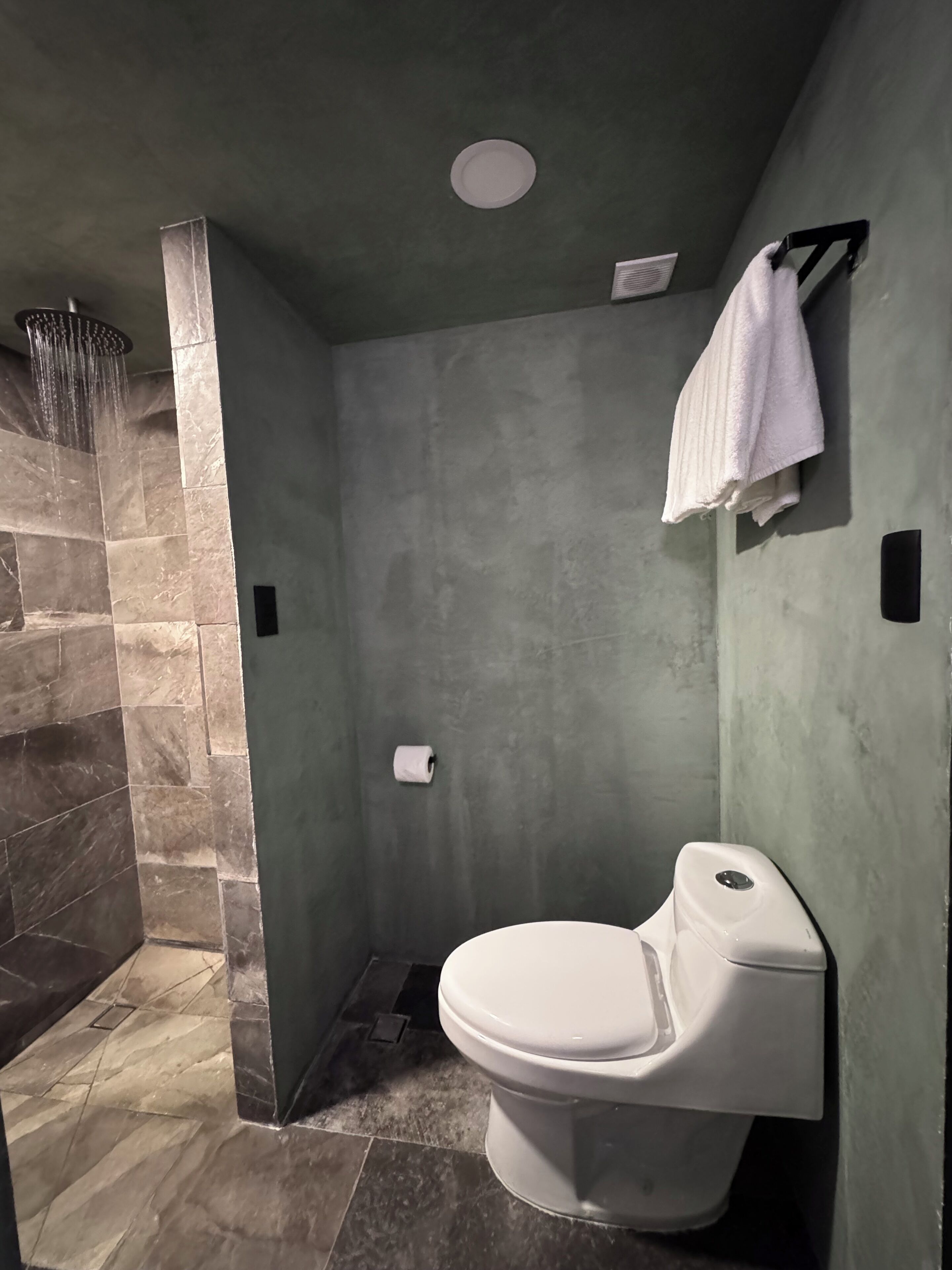 A modern bathroom with a shower, toilet, and a towel rack.