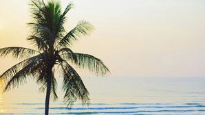 Eine Strandlounge mit gestreiften Sonnenschirmen und Liegestühlen, einer Palme und Blick aufs Meer.