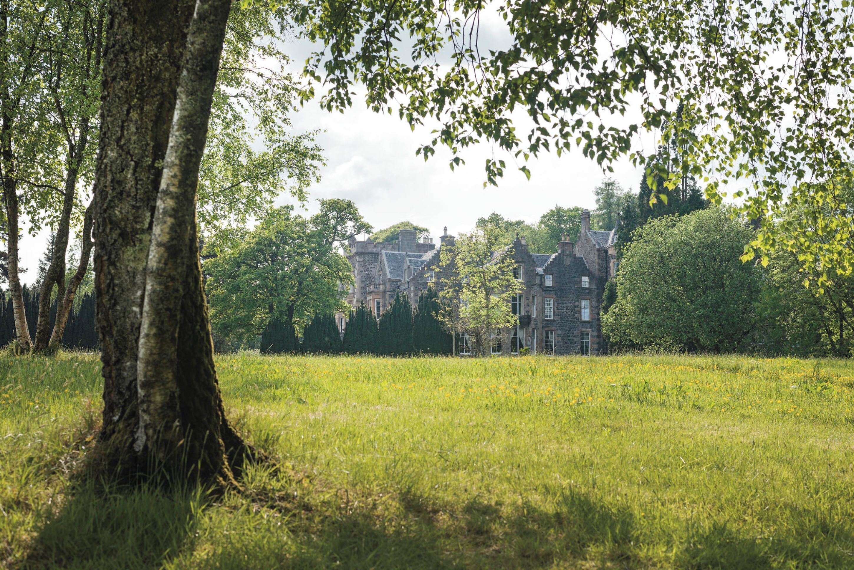A grassy field with a tree in the foreground and a stone building in the background.