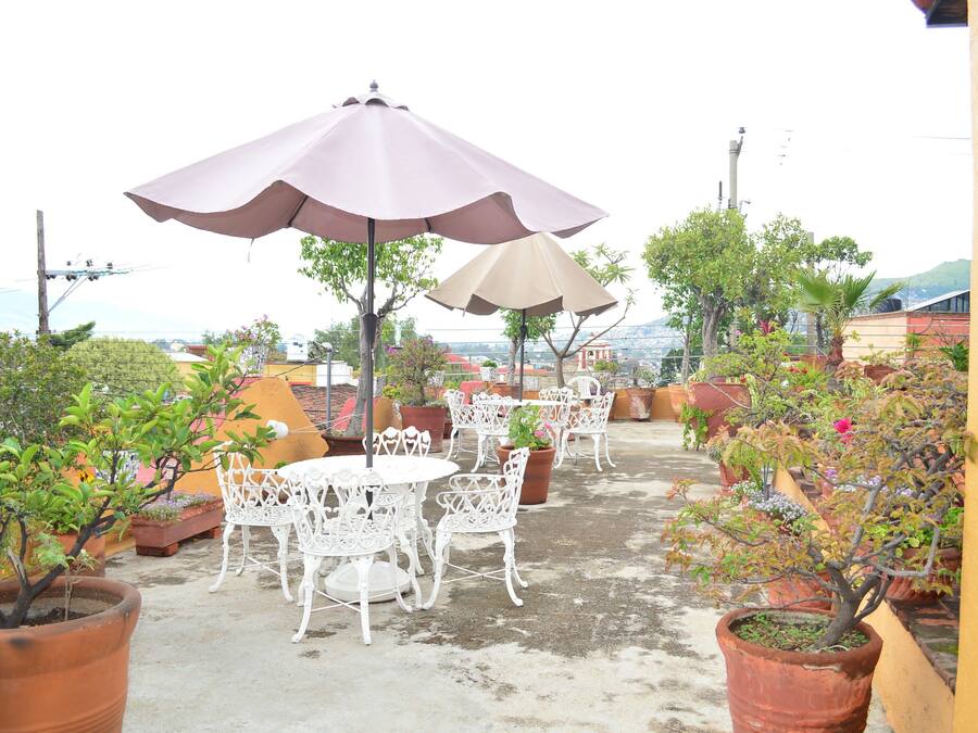 Un patio al aire libre con sillas y mesas de metal blanco, rodeado de plantas en macetas y sombrillas.