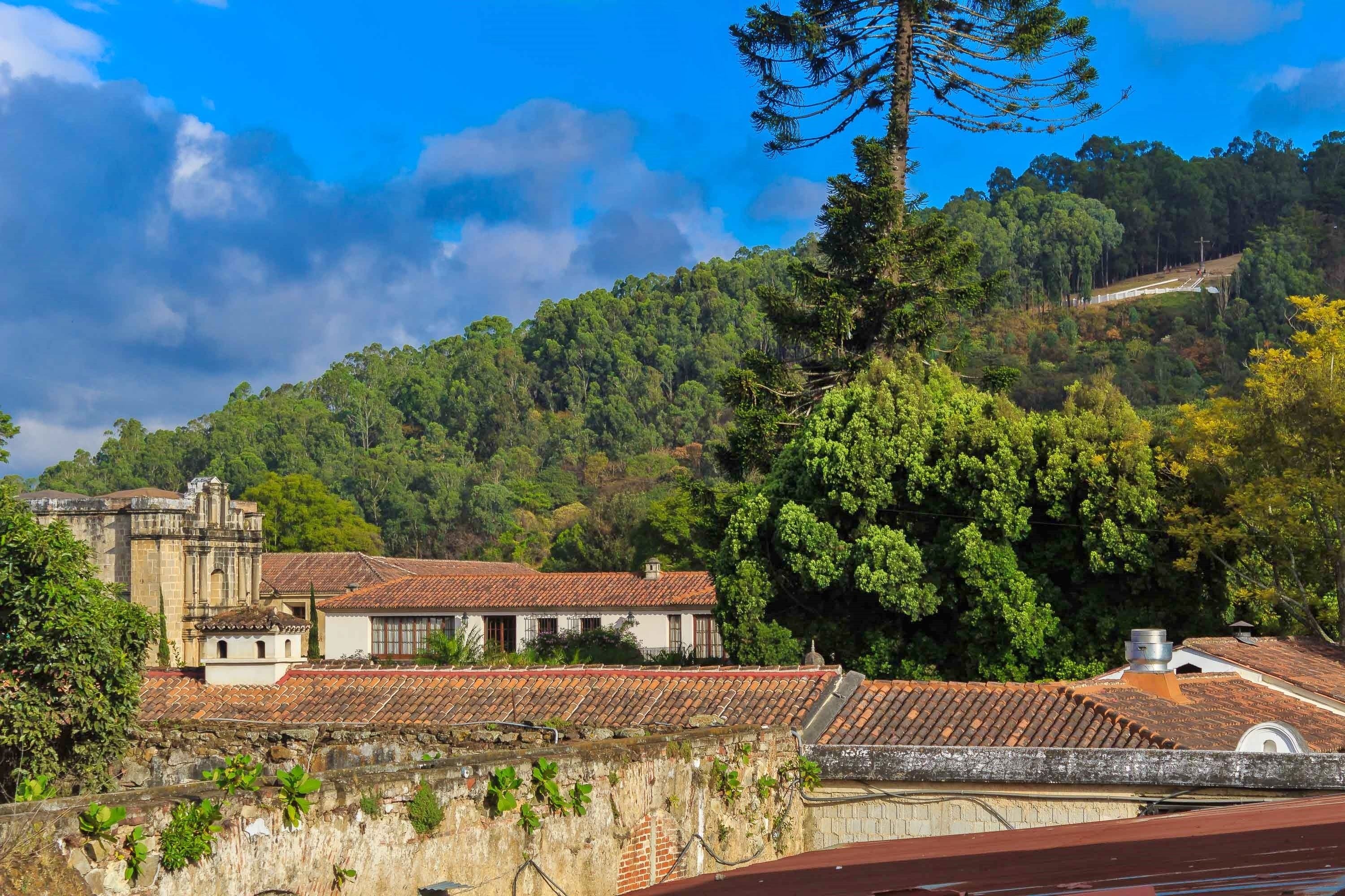 Foto - Hotel Las Camelias Inn by AHS