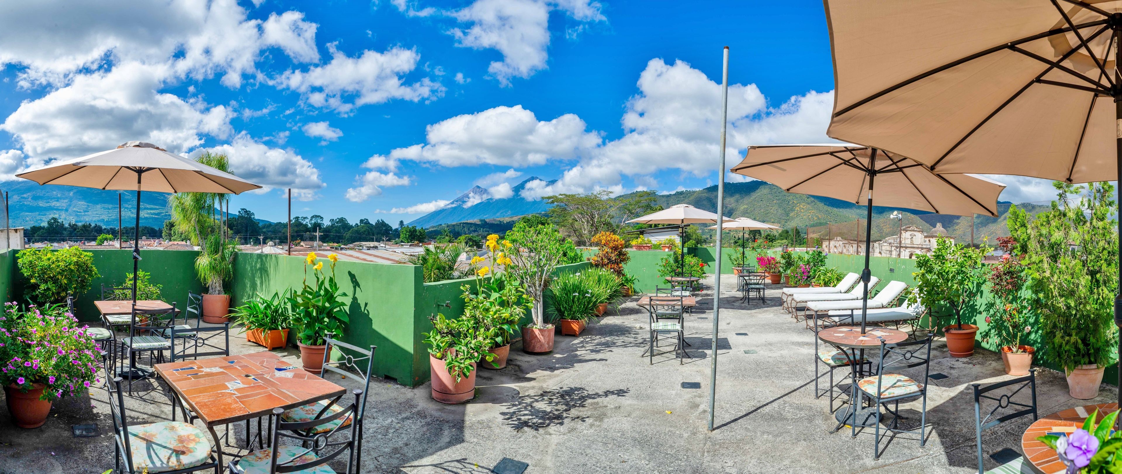 An outdoor patio with tables and chairs, surrounded by potted plants and umbrellas, overlooking a mountainous landscape.