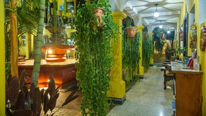 Un vestíbulo de hotel con una fuente central, paredes amarillas y diversas plantas en macetas.