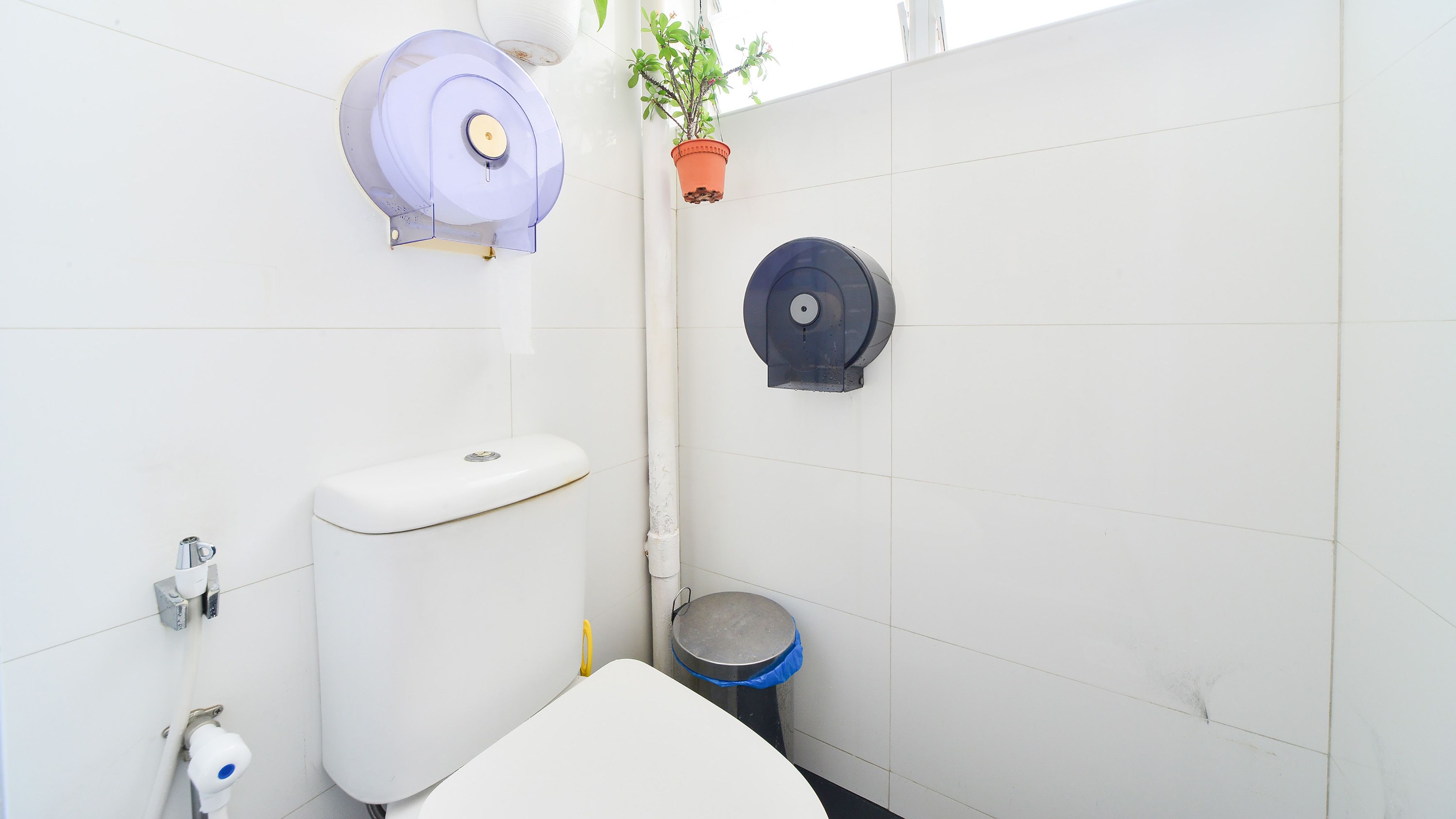 Shower, free toiletries, bidet, towels