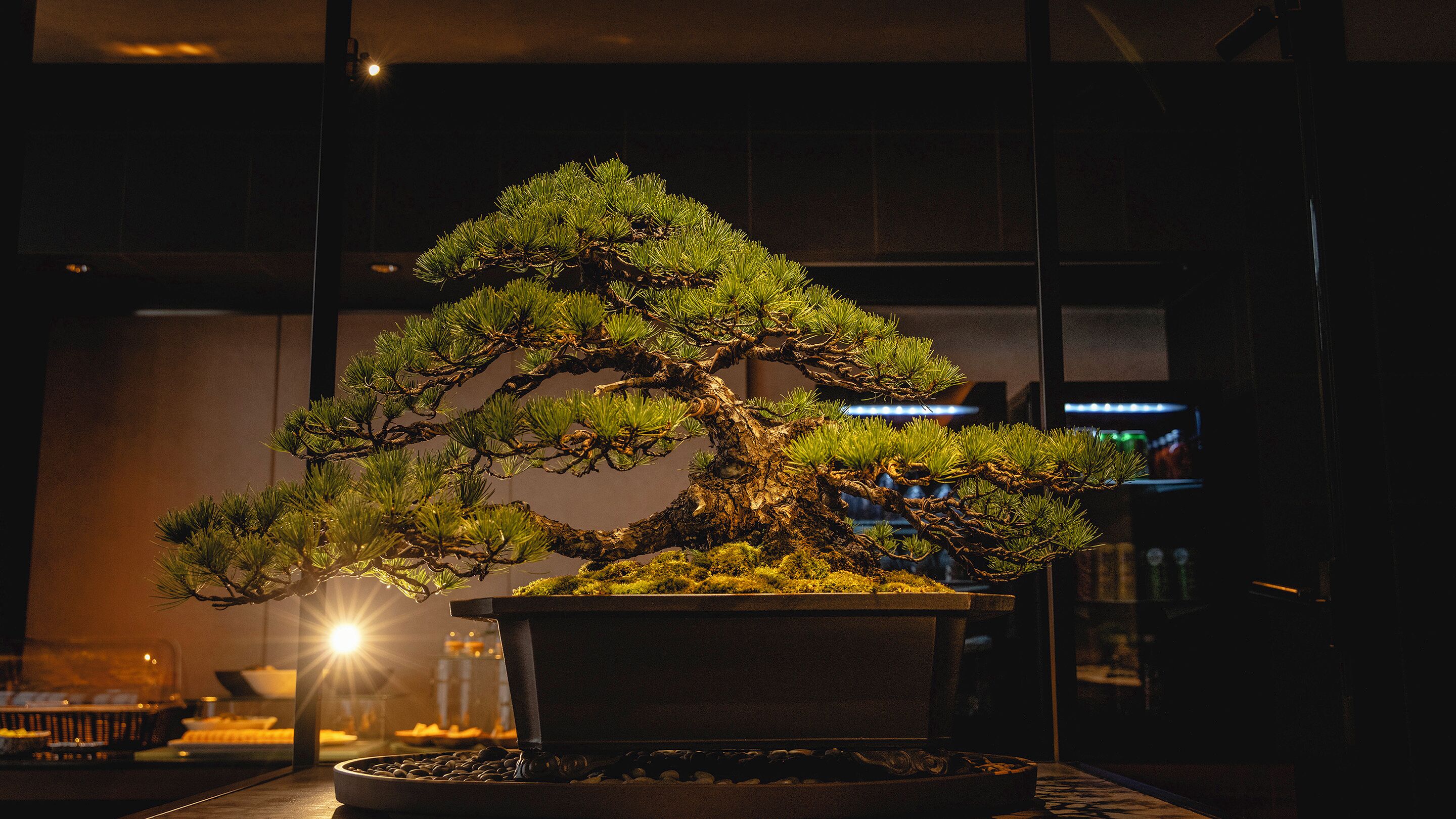 Foto - Hotel Gracery Kyoto Sanjo