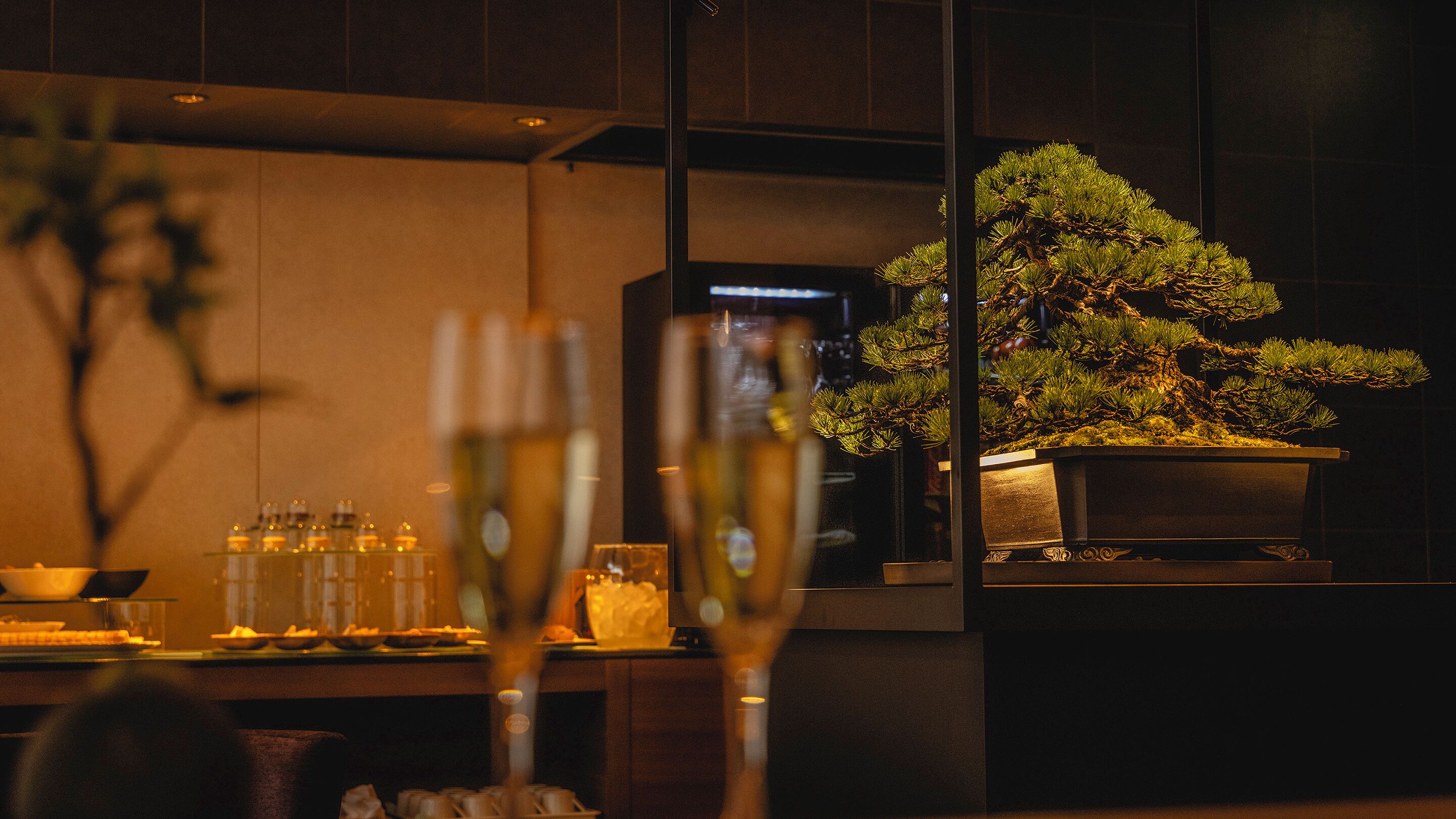 羽毛の掛け布団、セーフティボックス (室内)、デスク、遮光カーテン