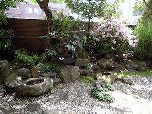 Vista desde la habitación