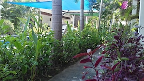 Puutarha