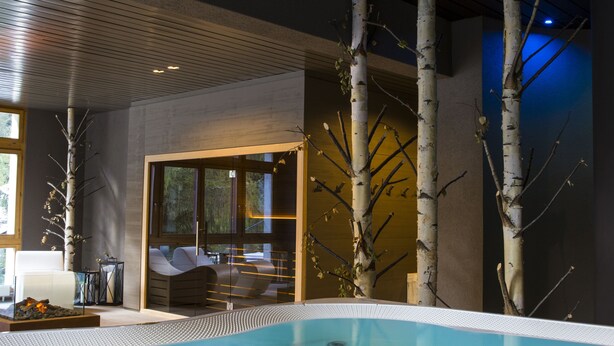 Une piscine intérieure moderne, dotée d’une structure en verre, entourée de bouleaux et agrémentée d’un espace détente avec un canapé et une table basse.