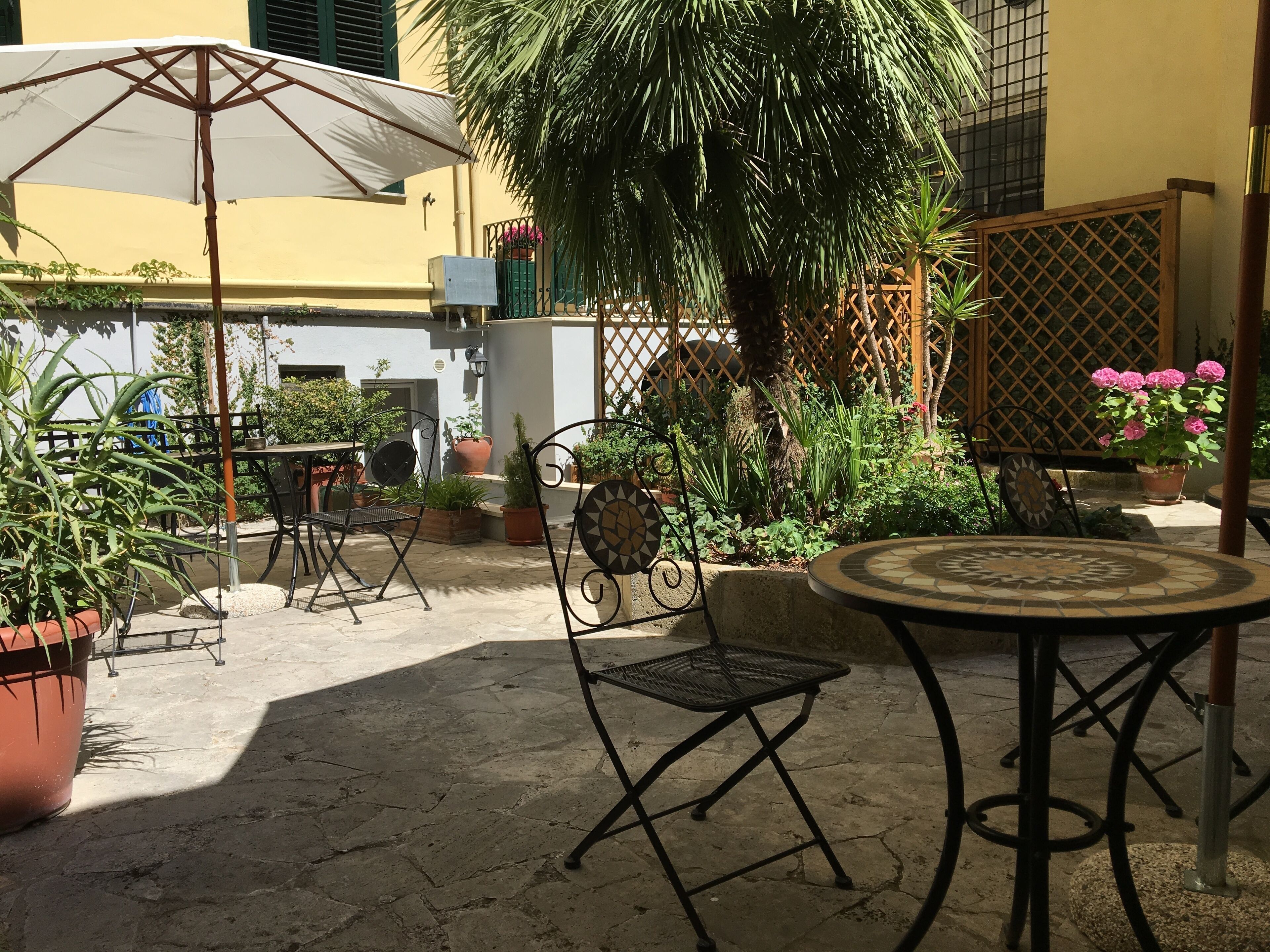 An outdoor patio with a round table and chairs, surrounded by potted plants and a palm tree.