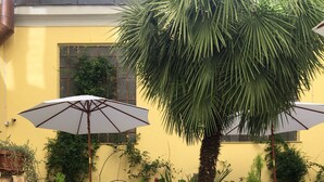 A set of stone steps leading up to a patio area with potted plants and umbrellas. - Domus Terenzio (Rome)