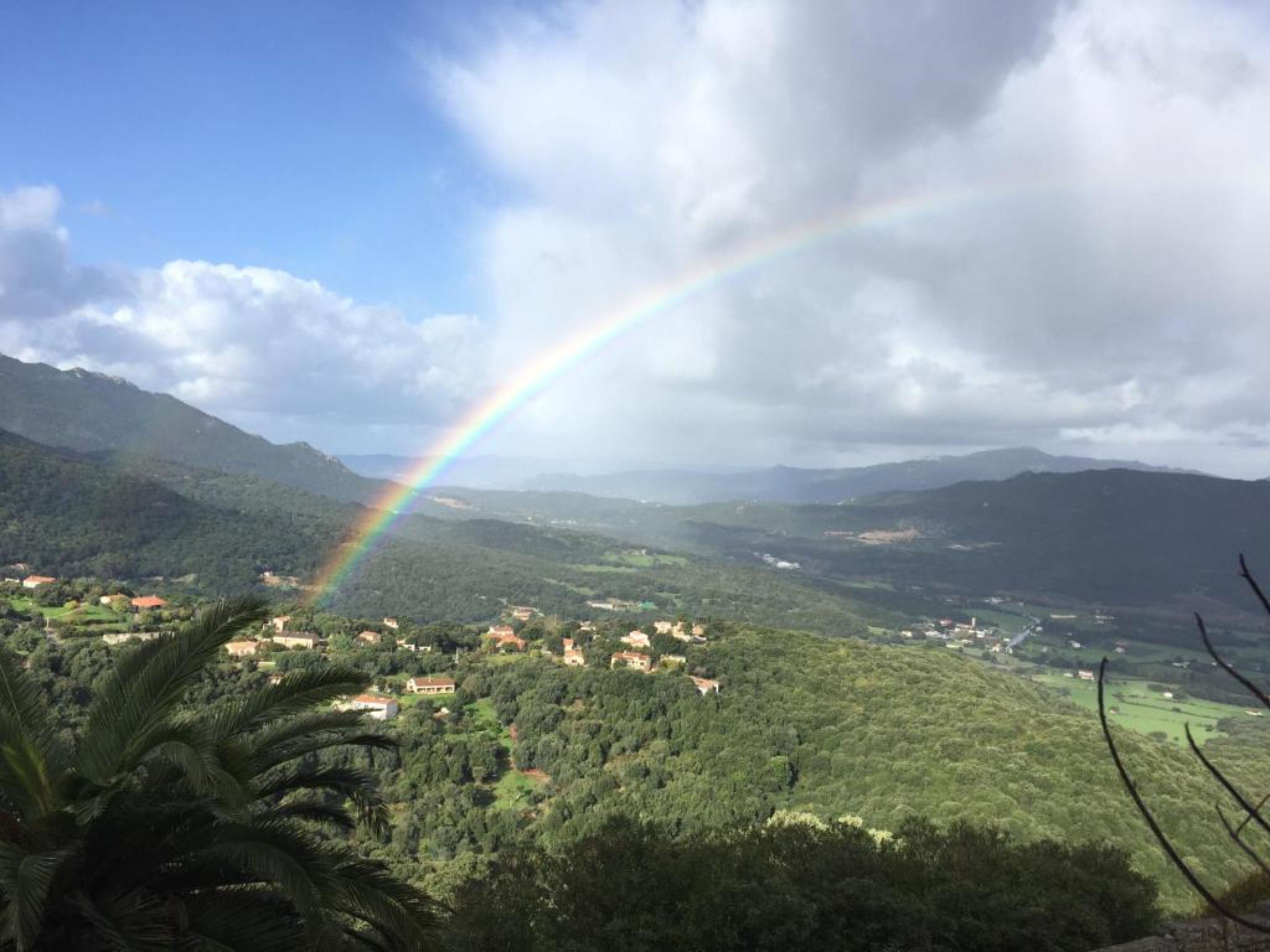 superior room, valley view | view from room