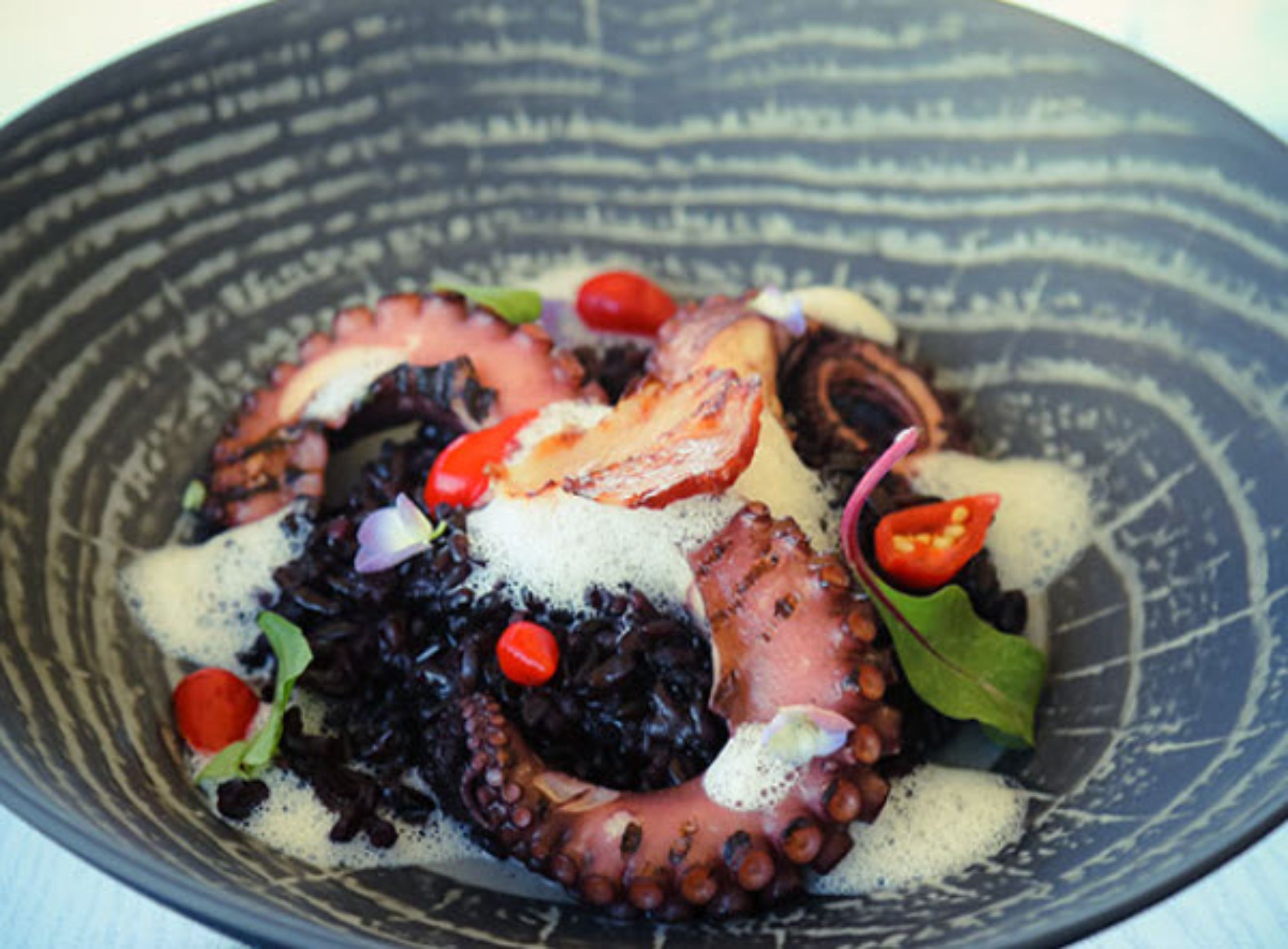 lunch and dinner served, french cuisine