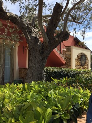 經典公寓, 1 間臥室, 花園景