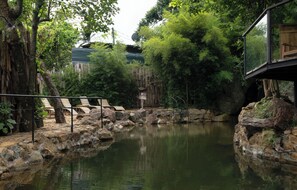 Indoor pool, outdoor pool