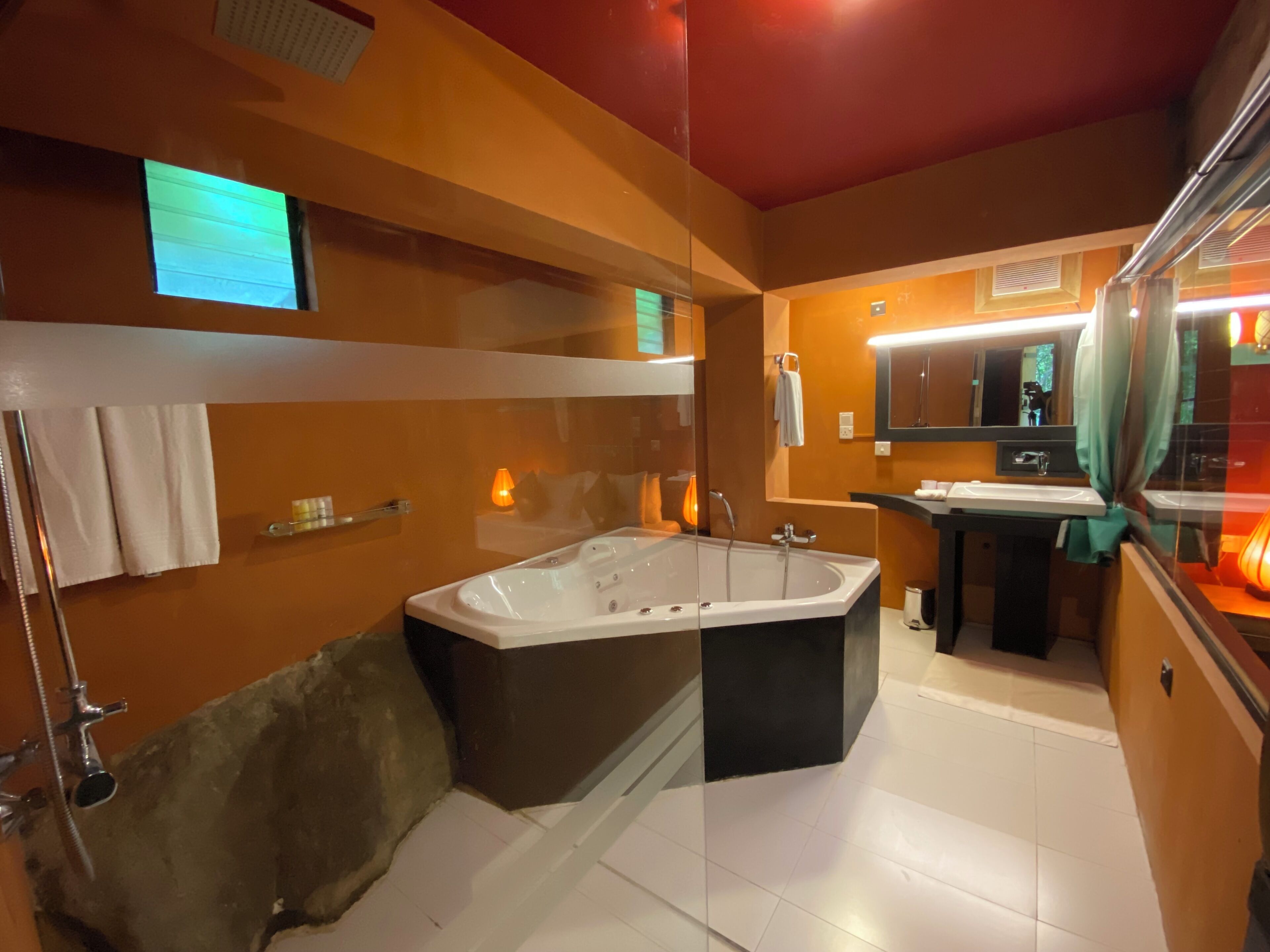 separate bathtub and shower, rainfall showerhead, free toiletries