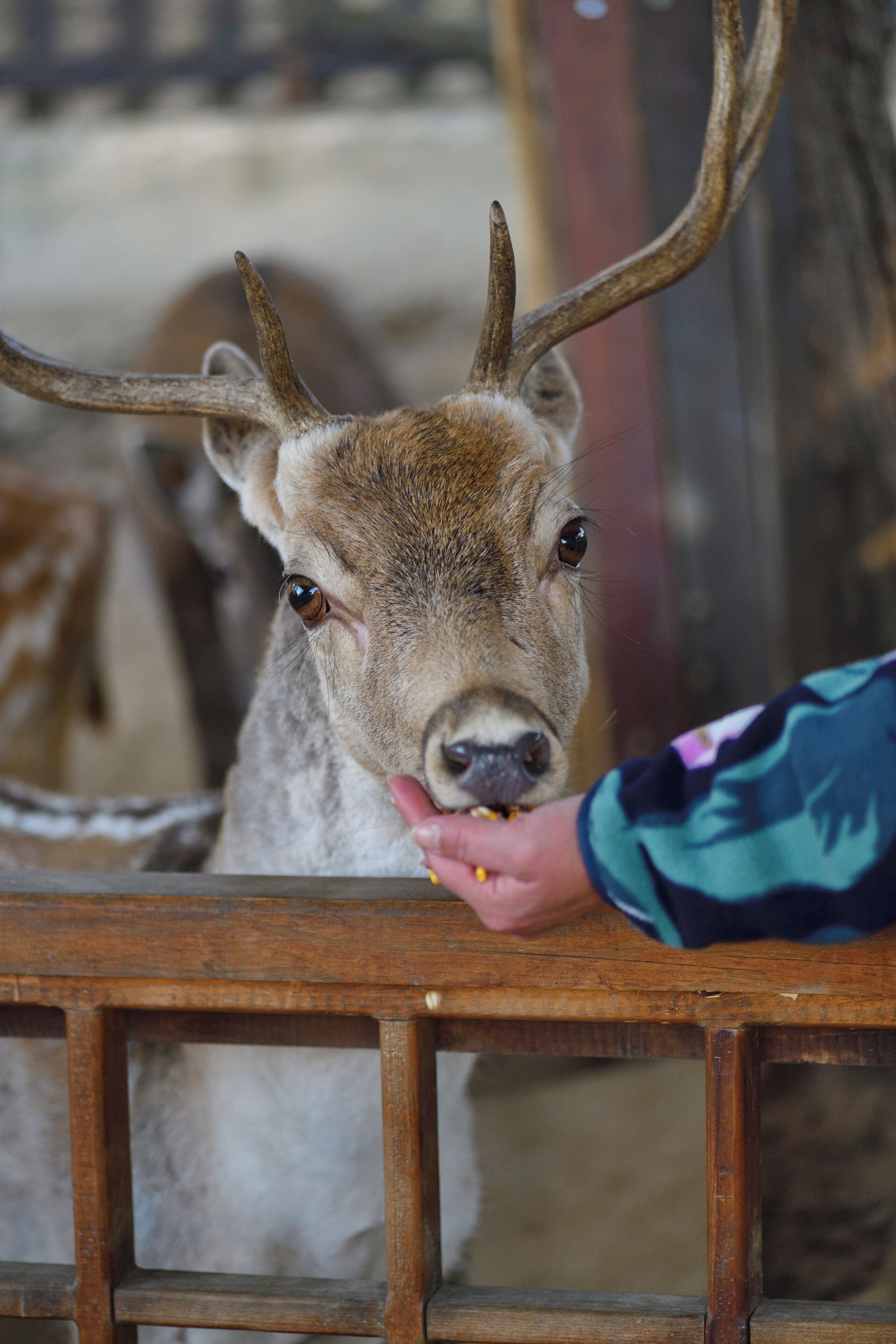 children’s activities