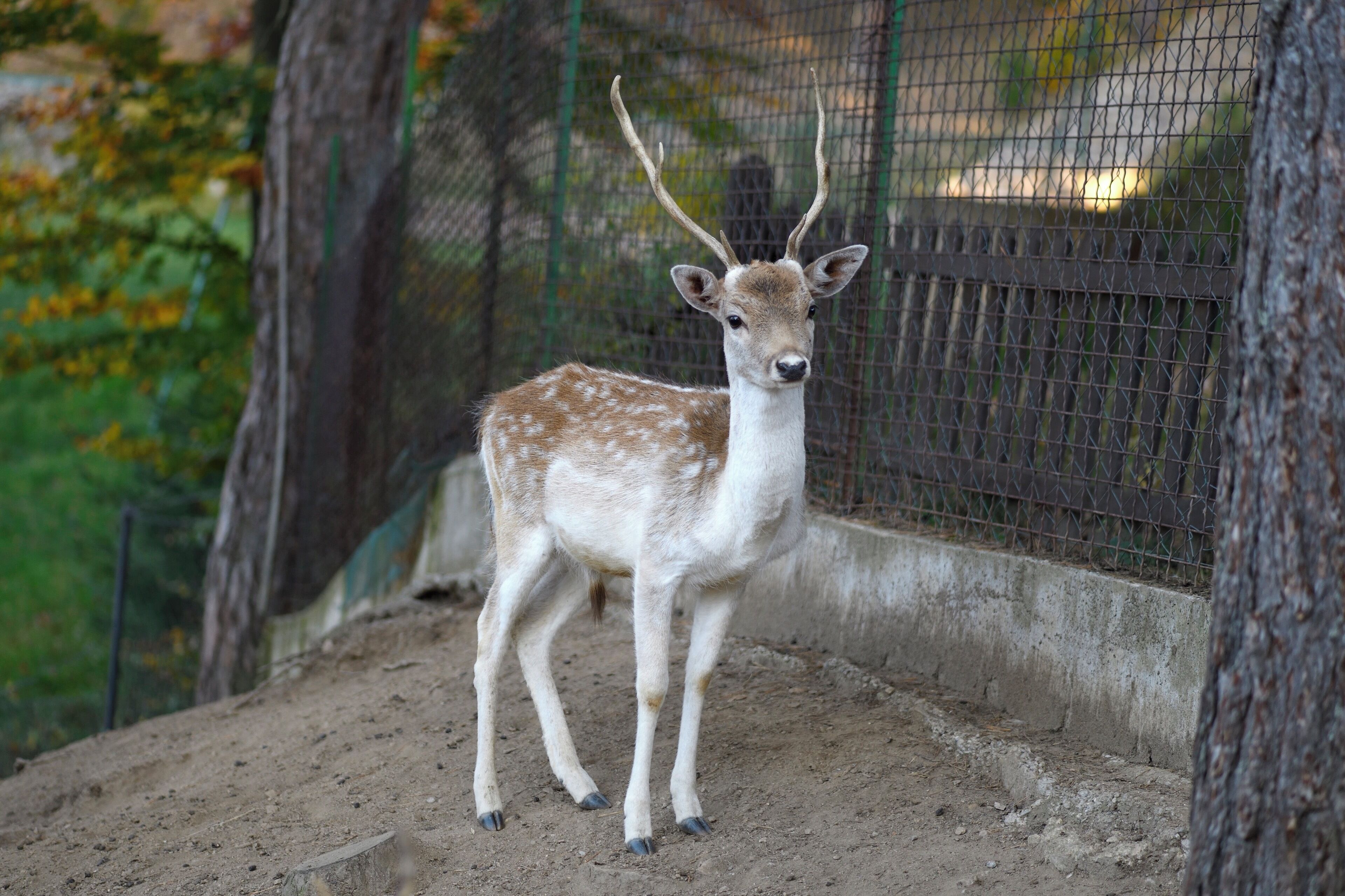 children’s activities